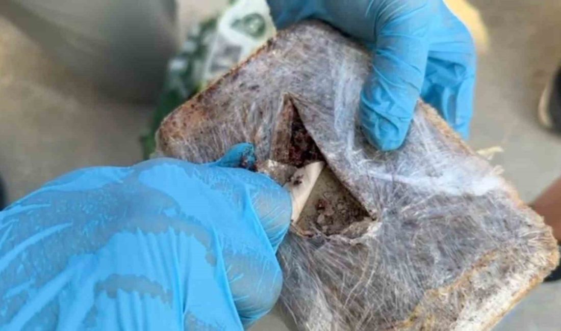 Kocaeli’de polis ekiplerince düzenlenen operasyonda, şehirlerarası yolcu otobüsünde yapılan aramada,