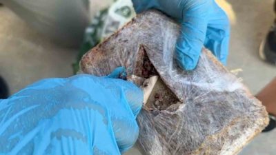 Kocaeli’de polis ekiplerince düzenlenen operasyonda, şehirlerarası yolcu otobüsünde yapılan aramada,