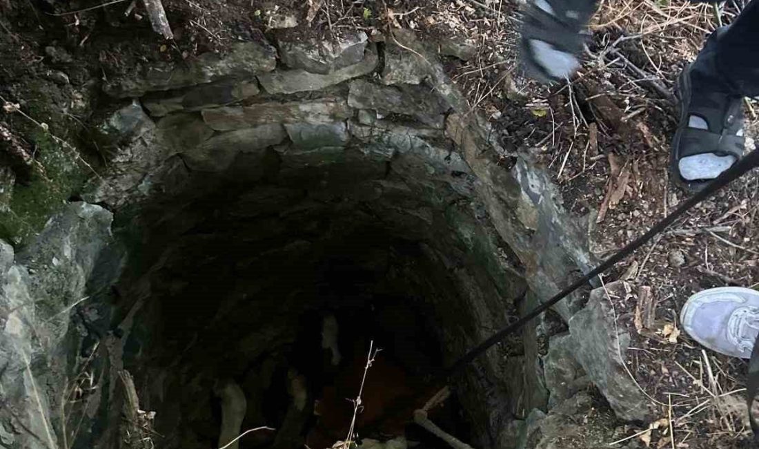Su kuyusuna düşen inek için seferber oldular Kastamonu’nun Azdavay ilçesinde su kuyusuna düşen inek, belediye ekipleri tarafından