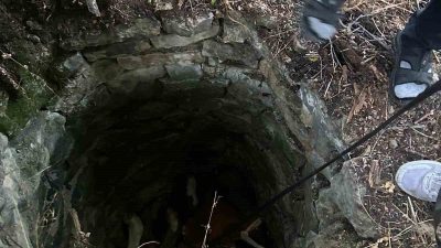 Kastamonu’nun Azdavay ilçesinde su kuyusuna düşen inek, belediye ekipleri tarafından