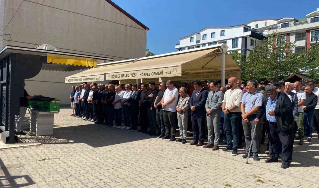 Kocaeli’nin Körfez ilçesinde otomobilin çarptığı 78 yaşındaki Binnaz Kaya son