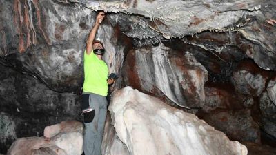 Kastamonu’da tümülüsü andıran tepe içerisinde yer alan ve altın rengi