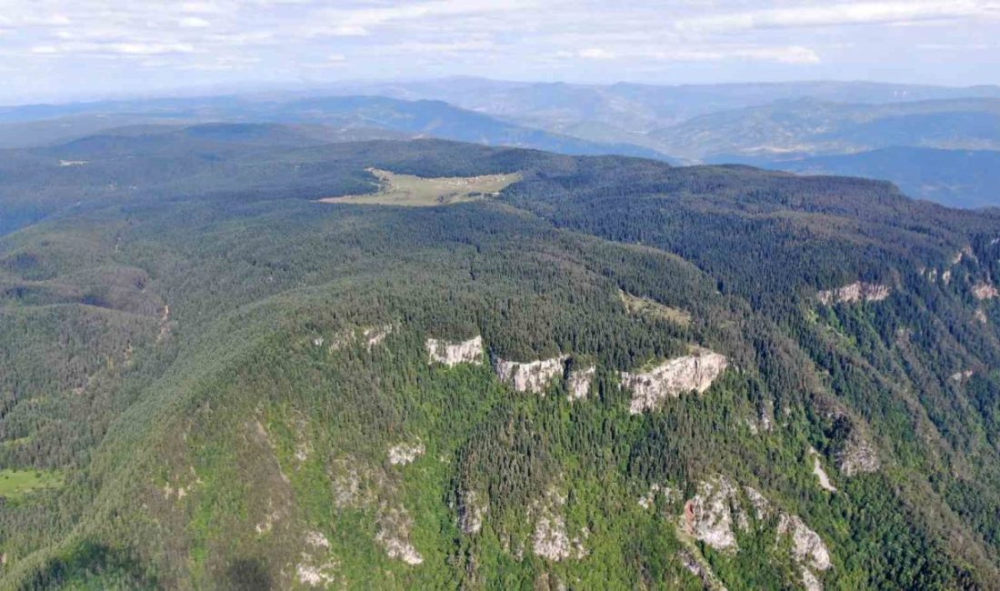 Kastamonu’nun Araç ilçesindeki Soğucaova Yaylası sınırlarında yer alan ve doğal