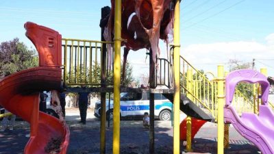 Düzce’nin Yukarı Yahyalar Mahallesi’nde bulunan çocuk parkında bulunan kaydırak ve