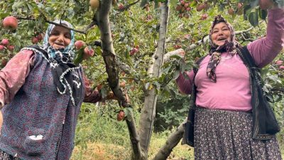 Yalova’da elma üretimi yapılan son köylerden olan Dereköy’de bu yıl