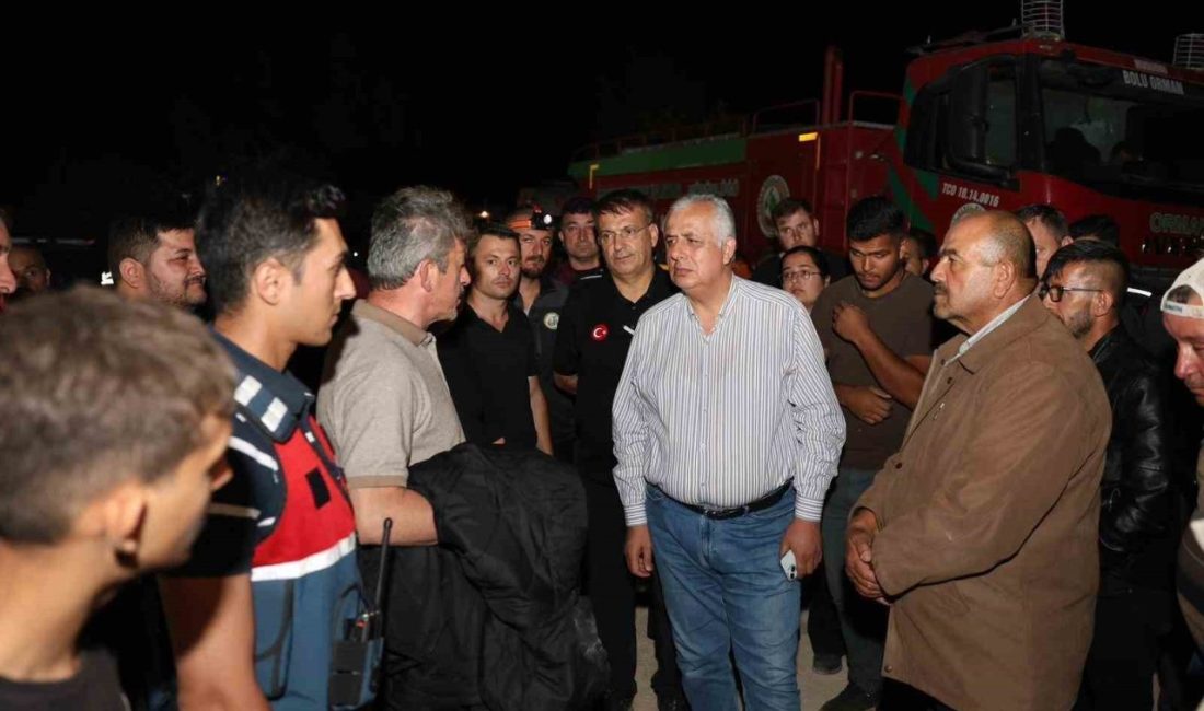 DÜZCE(İHA) – Düzce’nin Yığılca ilçesinde dün akşam saatlerinde çıkan yangın