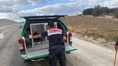 Bilecik İl Jandarma Komutanlığı Çevre, Doğa ve Hayvanları Koruma Tim