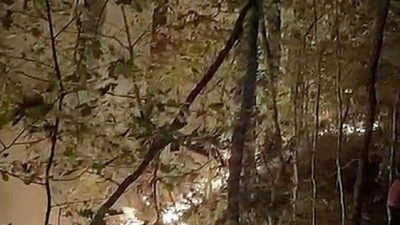 Düzce (İHA) – Düzce’nin Yığılca ilçesi Mengen köyünde çıkan orman