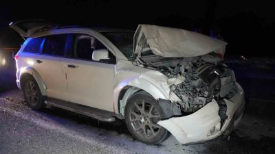 Kastamonu-Sinop karayolu üzerinde yola çıkan büyükbaş hayvanlara yolcu otobüsü ile