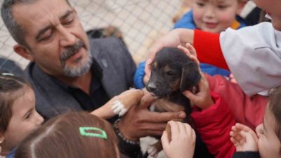 Bilecik’de Sokak Hayvanları Tedavi ve Rehabilitasyon Merkezi, 11 okuldan yaklaşık