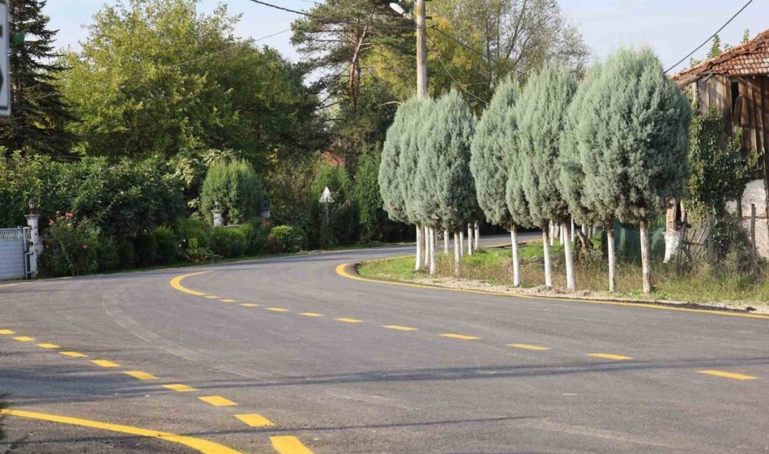 Akyazı’da 4 mahallenin ulaşımı için yeni dönem Sakarya Büyükşehir Belediyesi, asfalt ve yol yapım mesaisi çerçevesinde Akyazı