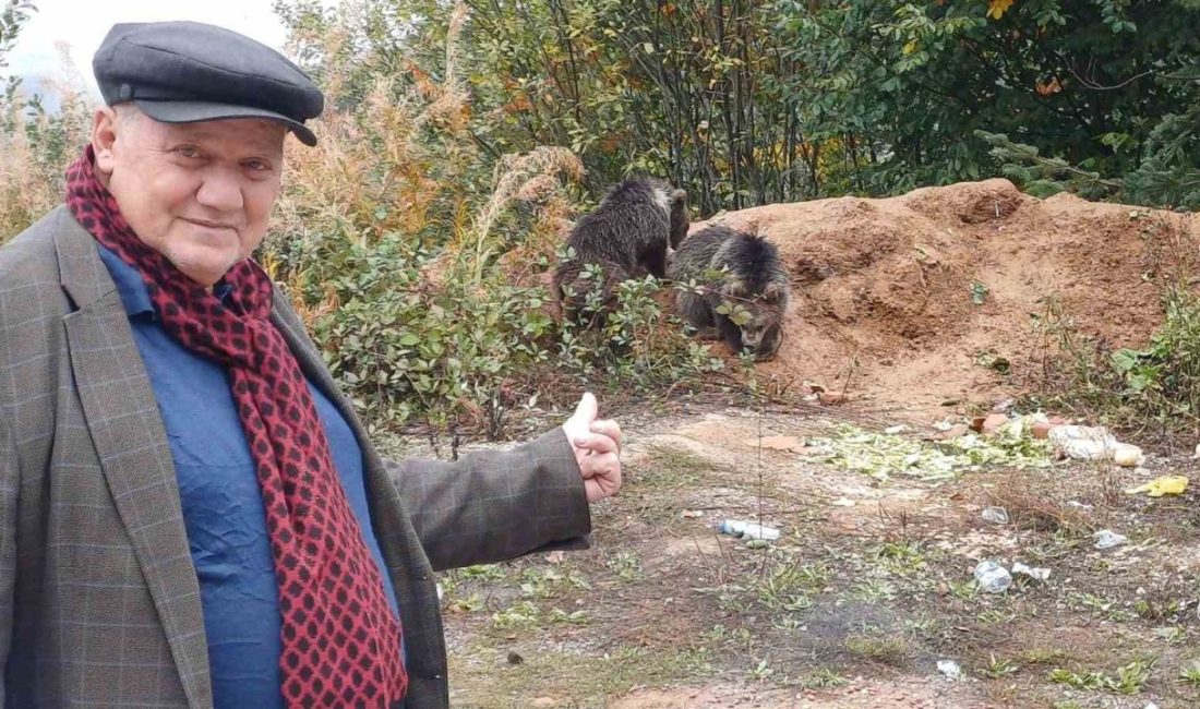 Kastamonu (İHA) – Kastamonu’nun Küre ilçesinde anneleri araç çarpmasıyla telef