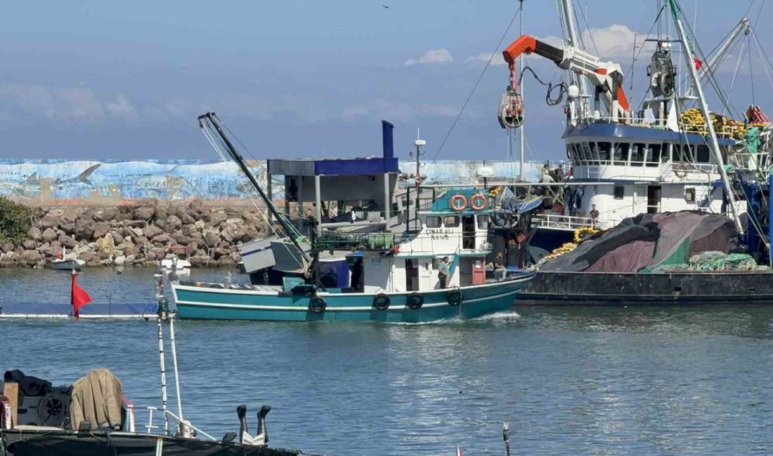 Balıkçılar, hava sıcaklıklarının mevsim normallerinin üzerinde seyretmesi nedeniyle hamsi avında