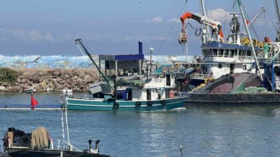 Balıkçılar, hava sıcaklıklarının mevsim normallerinin üzerinde seyretmesi nedeniyle hamsi avında