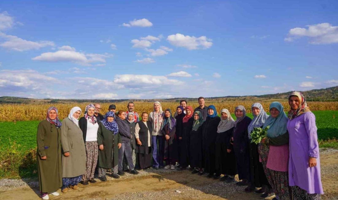 Bilecik’te dağıtılan sebze fidelerinin hasadını yapıldı Bilecik’in Yeniköy Mahallesi’nde kadın çiftçilerle bir araya gelen Bilecik Belediye