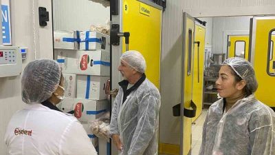 Bilecik’te gıda güvenliği ve hijyen standartlarının korunması amacıyla il genelinde