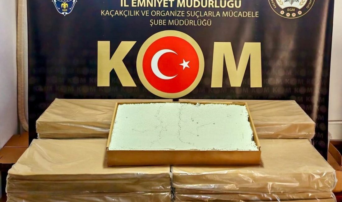 Bilecik’te kaçak sigara operasyonunda 1 kişi gözaltına alındı. Bilecik İl