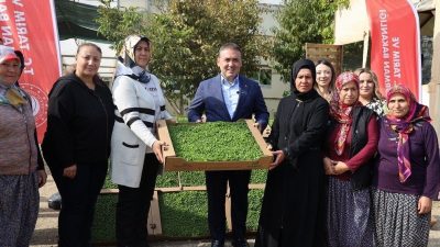 Bilecik’in Söğüt ilçesine bağlı Borcak Köyü’nde ‘Marul fidesi dağıtım programı’