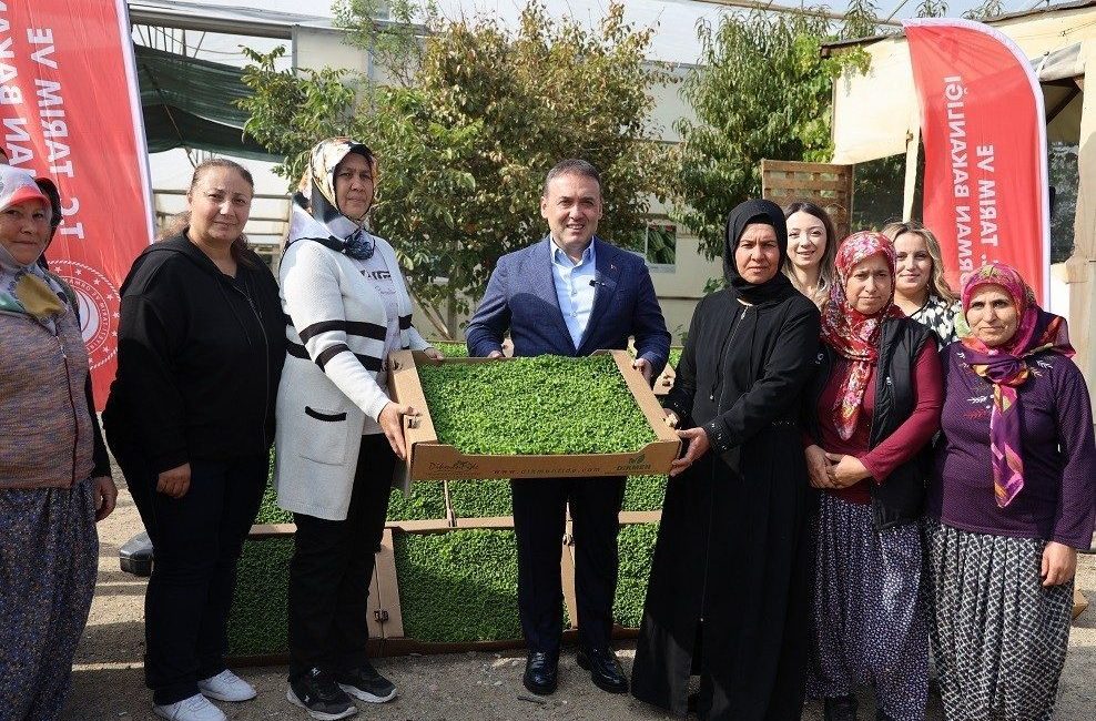 Bilecik’te tarıma can suyu: 926 bin marul fidesi toprakla buluştu Bilecik’in Söğüt ilçesine bağlı Borcak Köyü’nde ‘Marul fidesi dağıtım programı’