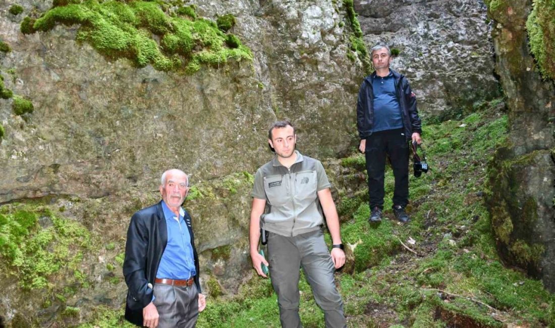 Bin 700 rakımlı zirvede 4 kilometre uzunluğundaki mağara görenleri mest ediyor Kastamonu’nun Araç ilçesinde bulunan Soğucaova Yaylası sınırlarında yer alan bin