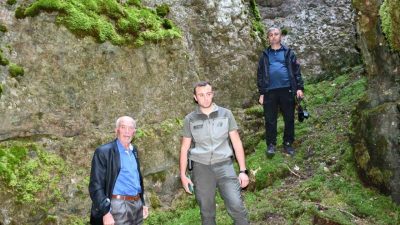 Kastamonu’nun Araç ilçesinde bulunan Soğucaova Yaylası sınırlarında yer alan bin
