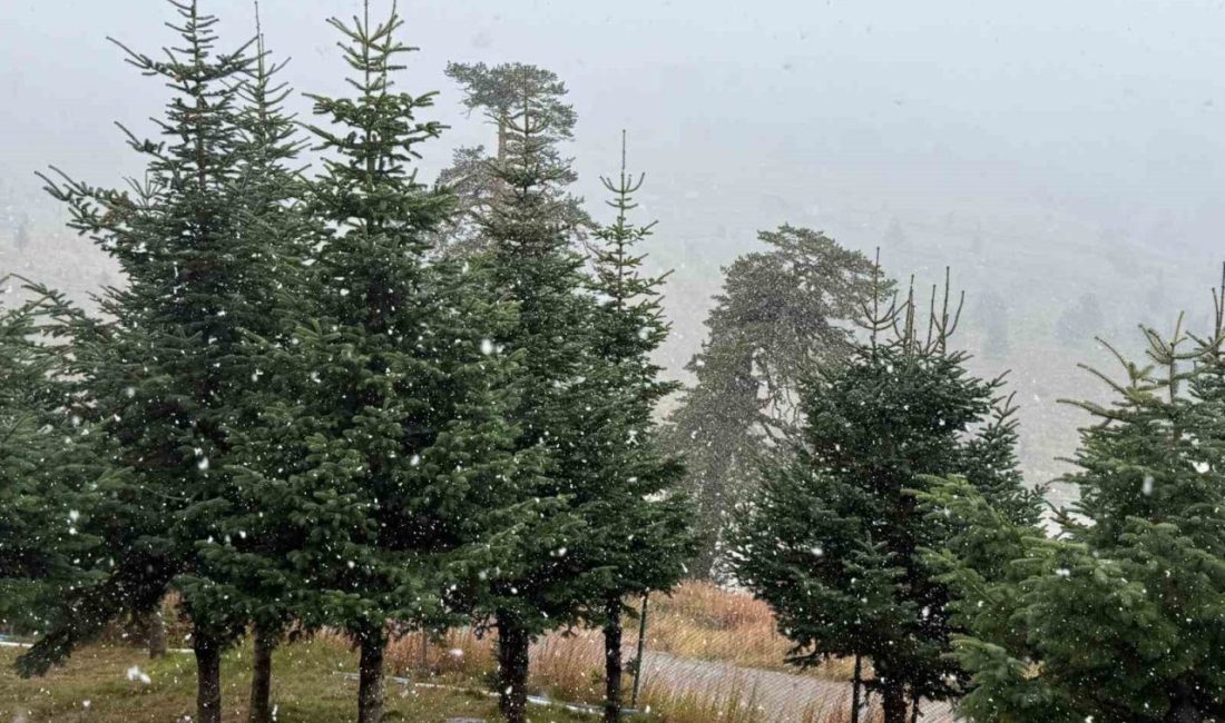Bolu’da mevsimin ilk karı yağdı Bolu’nun yüksek kesimlerinde mevsimin ilk kar yağışı etkili oldu. Ekim