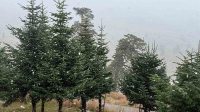 Bolu’nun yüksek kesimlerinde mevsimin ilk kar yağışı etkili oldu. Ekim