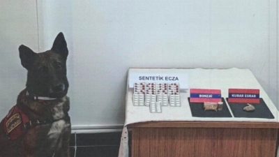 Bolu İl Jandarma Komutanlığı ekiplerince gerçekleştirilen yol kontrol uygulamasında durdurulan