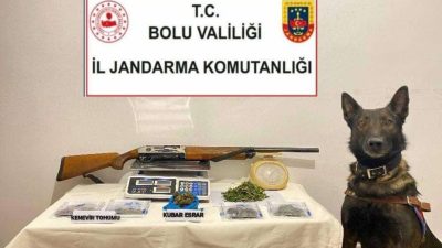 Bolu’da jandarma ekipleri tarafından düzenlenen operasyonda çeşitli uyuşturucu maddeler ve