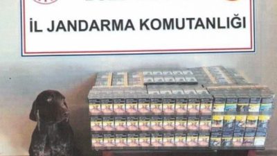 Bolu’da jandarma ekipleri tarafından durdurulan yolcu otobüsünde 430 paket bandrolsüz