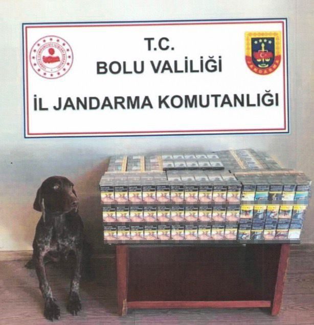 Bolu’da jandarma ekipleri tarafından durdurulan yolcu otobüsünde 430 paket bandrolsüz