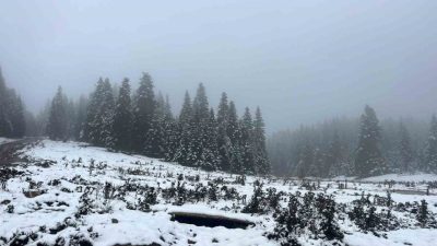 Bolu’nun yüksek kesimlerinde kar yağışı aralıklarla etkisini sürdürüyor. At Yaylası