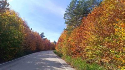 Bilecik’in doğa cenneti Pazaryeri ilçesi, sonbaharın gelişiyle birlikte adeta kartpostallık