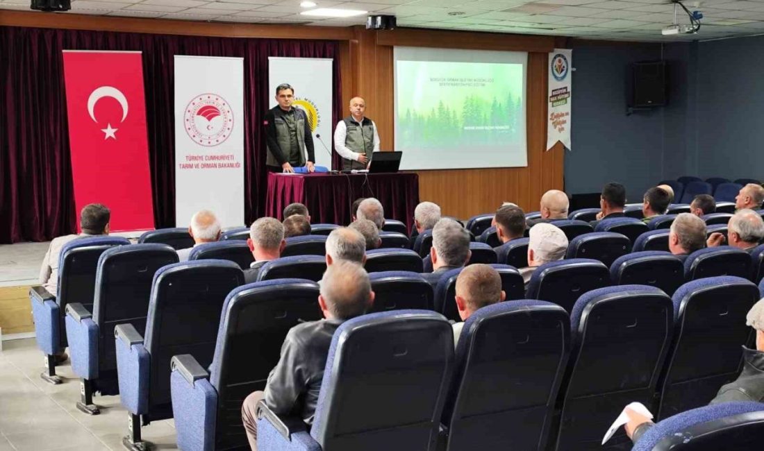 Bozüyük ormanları sertifikalandırılıyor Bilecik’in Bozüyük ilçesinde Bozüyük Orman İşletme Müdürlüğü tarafından orman kesim