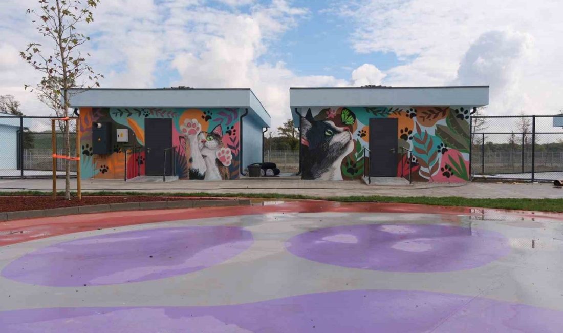 Doğal Yaşam Kampüsü’ne anlam katan grafiti sanatı Sakarya Büyükşehir Belediyesi’nin 87 dönüm arazi üzerinde hayata geçirdiği Doğal