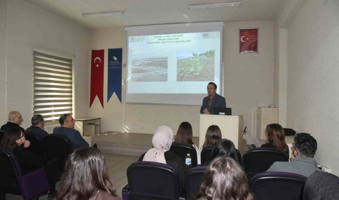 Düzce Üniversitesi Orman Fakültesi Orman Endüstri Mühendisliği tarafından, Kereste Endüstrisi
