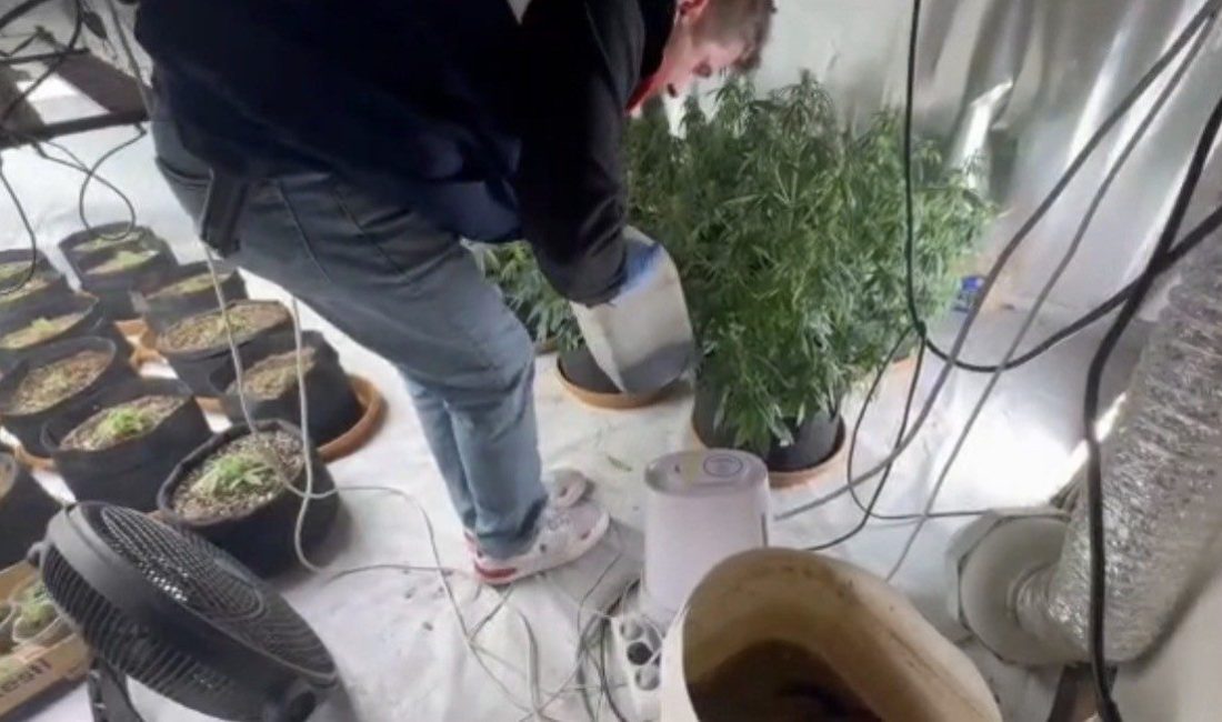 Düzce’de eve düzenlenen operasyonda uyuşturucu imalathanesi ortaya çıkarıldı Düzce’de jandarma ekiplerince bir eve düzenlenen operasyonda uyuşturucu yetiştirmek için