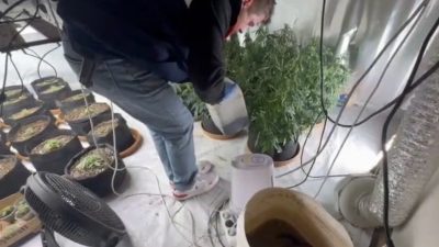 Düzce’de jandarma ekiplerince bir eve düzenlenen operasyonda uyuşturucu yetiştirmek için