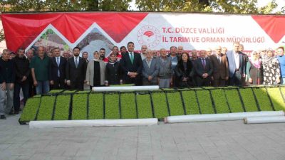 DÜZCE(İHA) – Düzce’de marul yetiştiriciliği yapan 114 üreticiye, 30 dekar