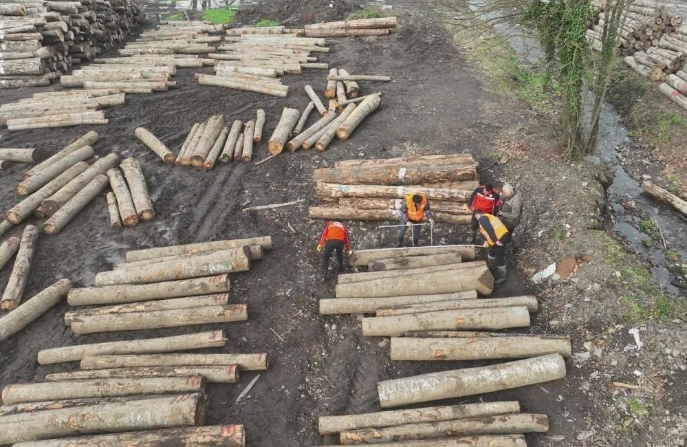 Düzce’den 11 bin 596,5 ton orman ürünü ihraç edildi DÜZCE(İHA) – Düzce’nin orman ürünleri üretiminin arttırılması için çalışmaları sürürken