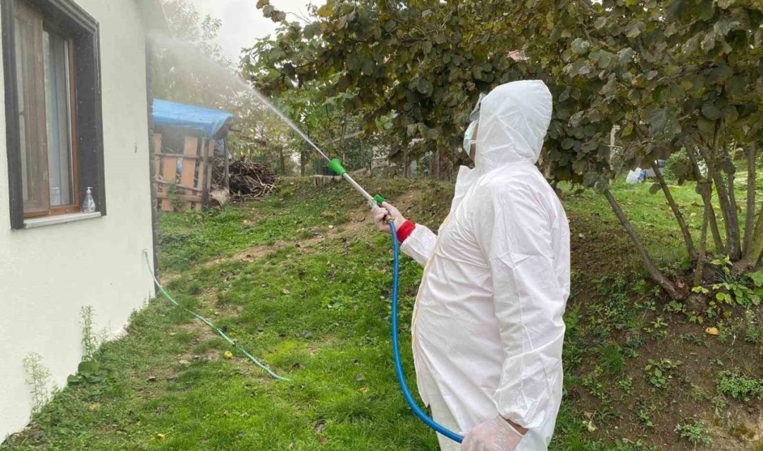 Erenler’de kokarcaya yönelik etkili mücadele sürüyor Erenler Belediyesi kahverengi kokarca böceğine yönelik çalışmalarını sürdürüyor. Belediyeden yapılan
