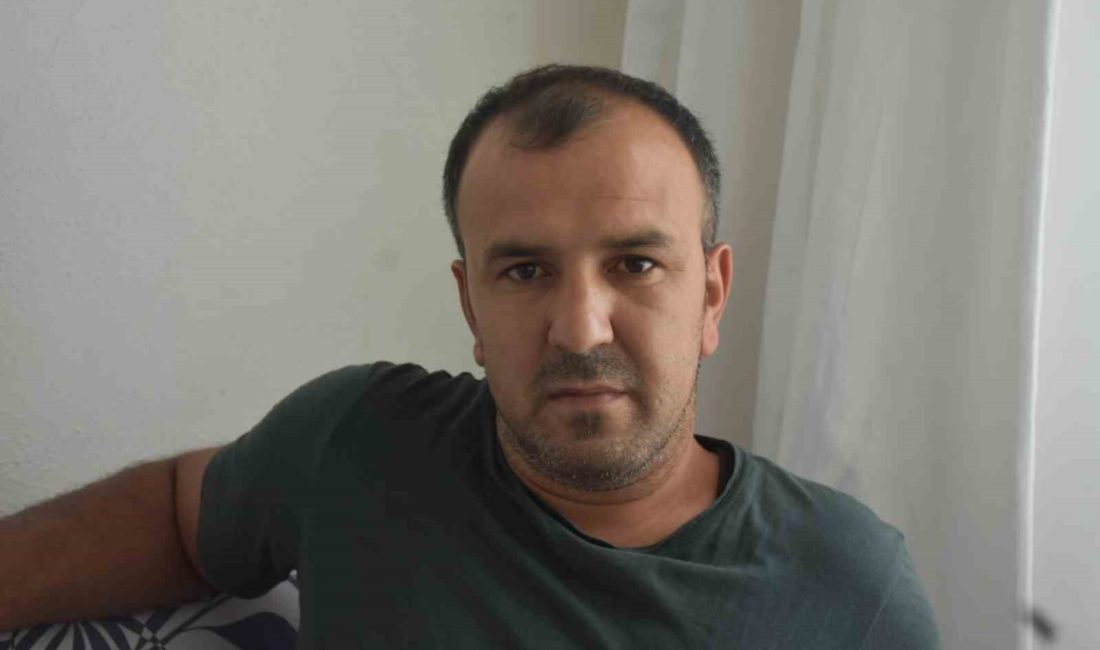 Sakarya’nın Hendek ilçesinde ormanda kestane topladığı esnada, ayı saldırısına uğrayan