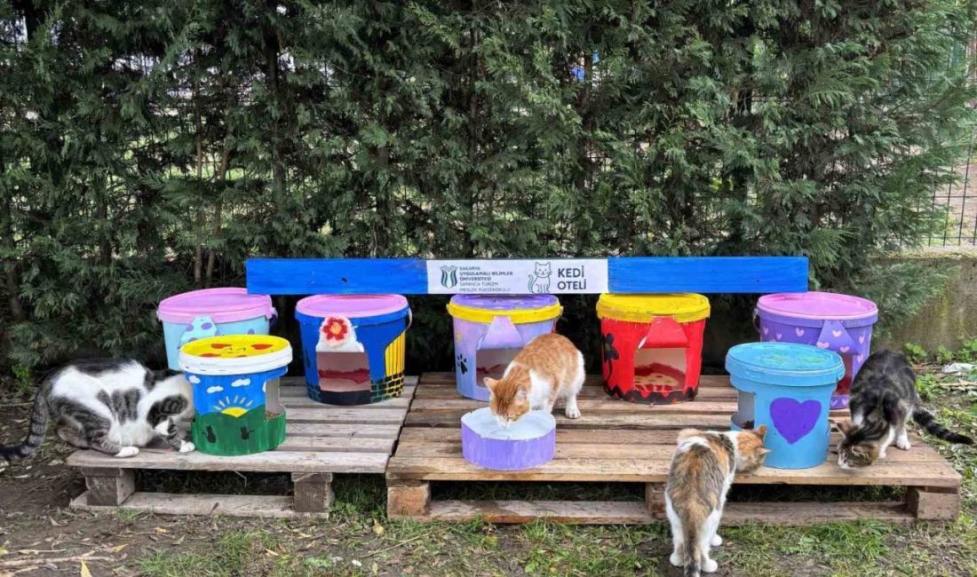 Geri dönüştürülen kovalar kedi oteline dönüştü SUBÜ Sapanca Turizm MYO öğrencileri, sürdürülebilirlik anlayışıyla geri dönüştürdükleri yoğurt