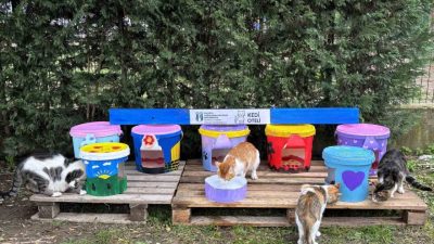 SUBÜ Sapanca Turizm MYO öğrencileri, sürdürülebilirlik anlayışıyla geri dönüştürdükleri yoğurt