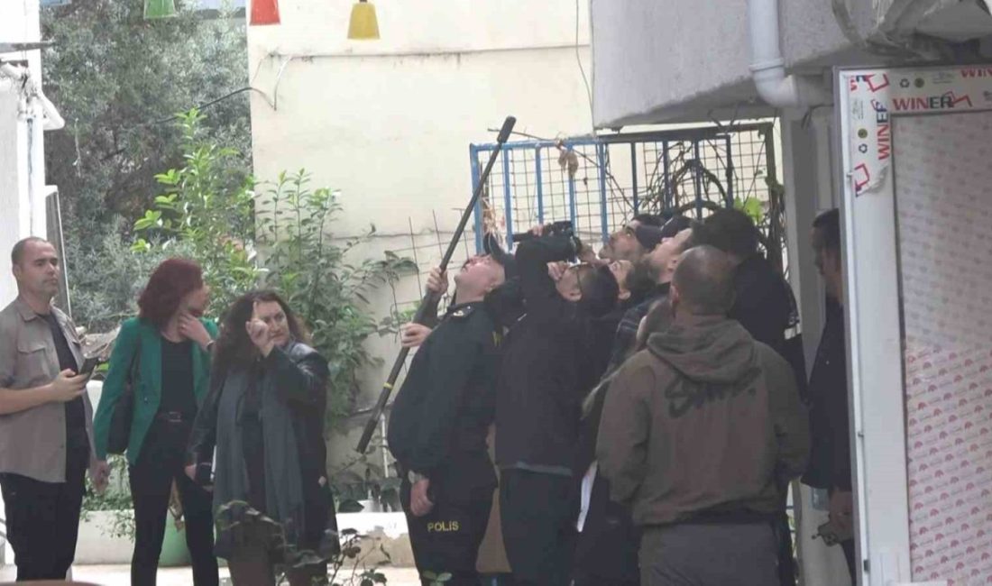 Yalova’nın Çınarcık ilçesinde 5. kattaki evinin penceresinden eğlendiği sırada aşağı