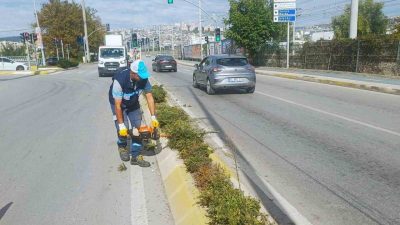 Kocaeli’nin İzmit ilçesi Salim Dervişoğlu Caddesi’nde tırpan ve form budama
