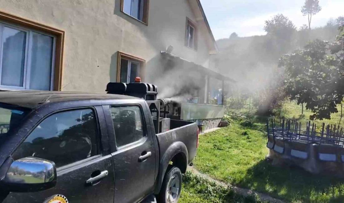Kahverengi kokarca ile mücadele sürüyor Düzce’de özellikle fındık ürününün düşmanı olarak gösterilen ve tüm bitkilere