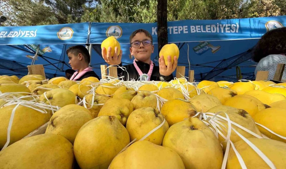 Kalitesiyle ünlü Eşme ayvası, festivalle görücüye çıktı Kocaeli’nin Kartepe ilçesinde kalitesi ve lezzeti ile Türkiye’de ve yurt