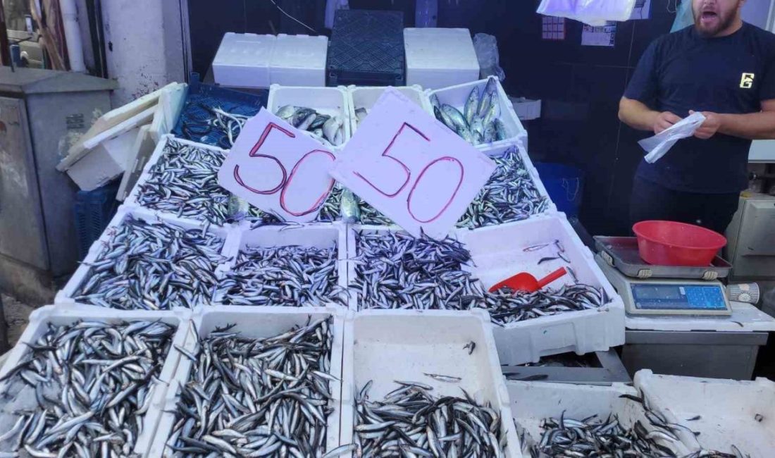 Karadeniz hamsisi tezgahları doldurdu: Kilosu 50 lira Karadeniz’de av sezonuyla birlikte hamsi bolluğu yaşanıyor. Fiyatların 50 liraya