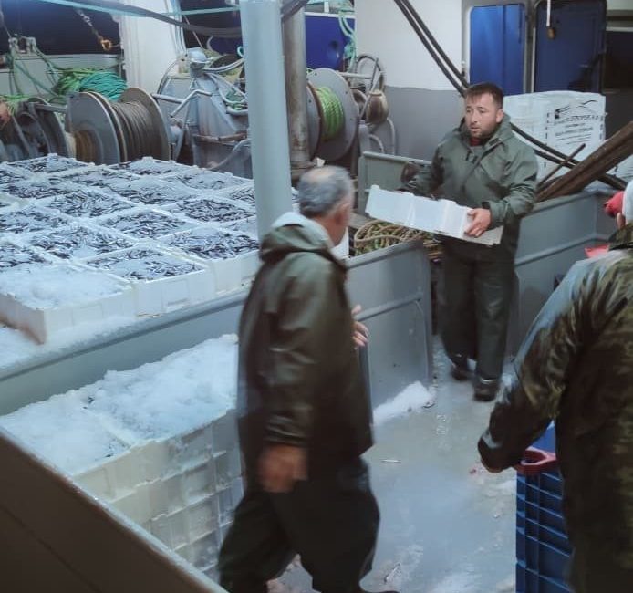 Karadeniz’de hamsi bolluğu Kastamonu’da balıkçılar tarafından avlanan 440 ton hamsi, kasalarla karaya çıkartılarak